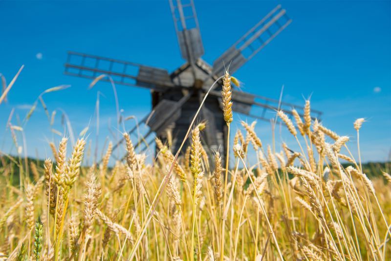 Foråret pibler frem