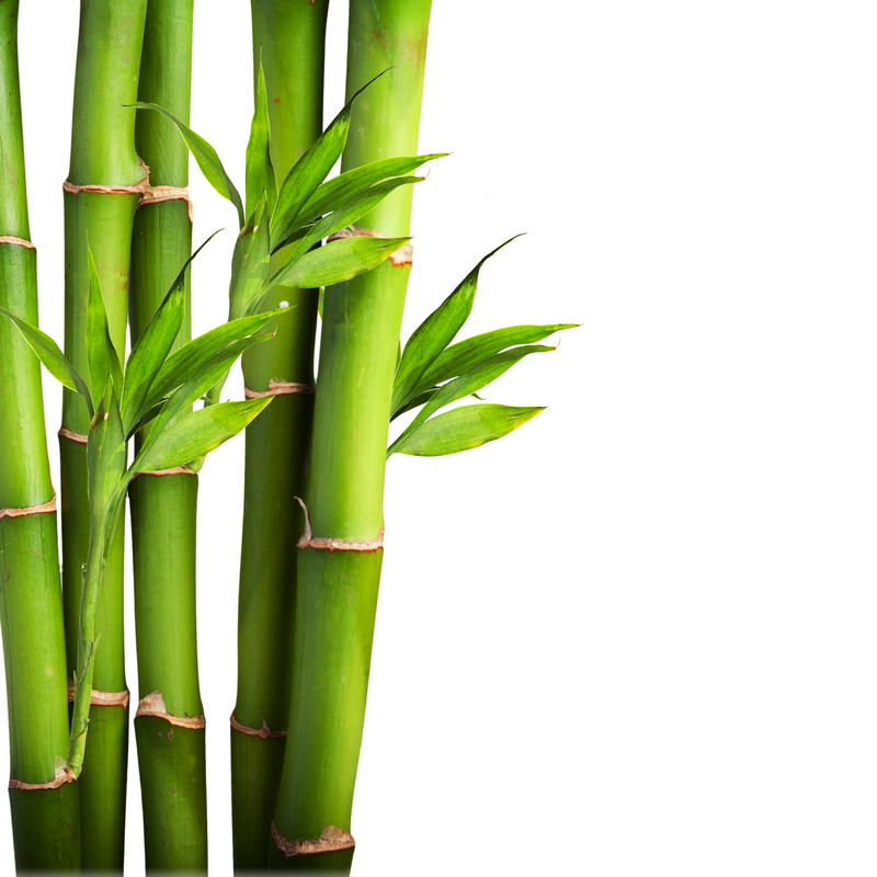 Hvorfor bambus møbler er godt